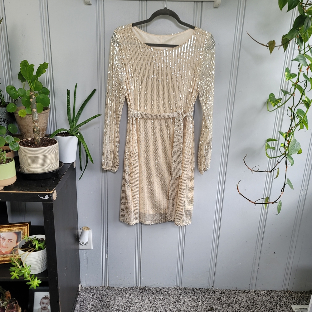 Sequin Long Sleeve Dress